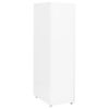 vidaXL Мобилен офис шкаф, бял, 28x41x109 см, метал