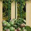 Изображение на продукта 2 от 5