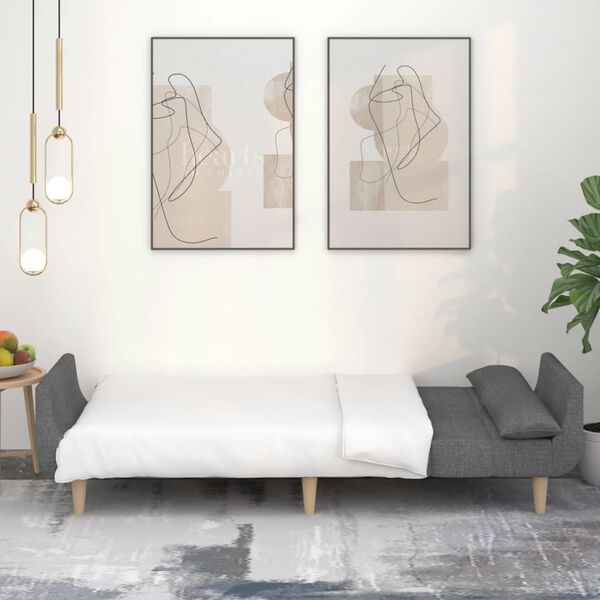 vidaXL 2-местно разтегателно канапе с 2 възглавници светлосиво текстил