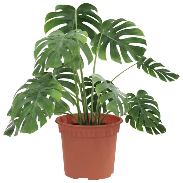 vidaXL Кръгла саксия за цветя 6 pcs Червено тухла &Oslash; 12,5 x 10 см