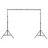 vidaXL Комплект студийно осветление с фонове и чадъри