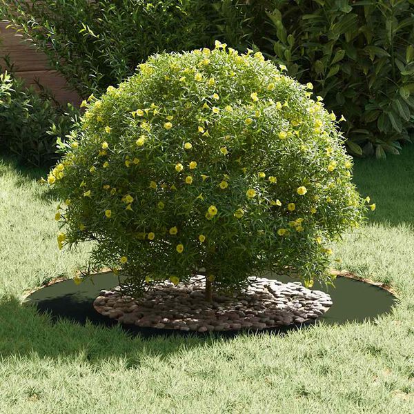 vidaXL подходяща за плоски дървени халки 5 pcs Маслиненозелен