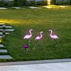 HI Соларни LED градински лампи Flamingo 3 бр