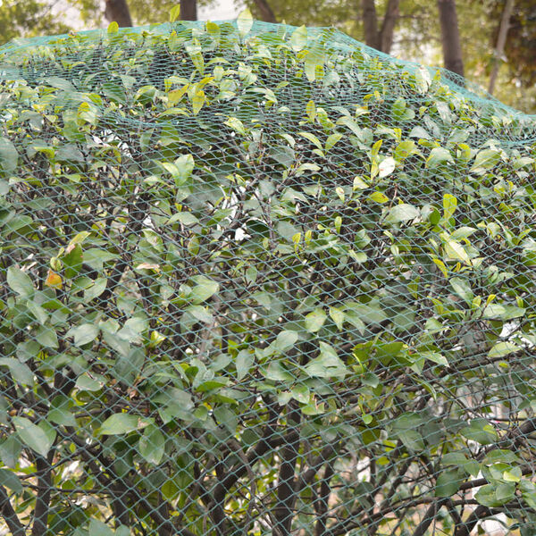 vidaXL Мрежа срещу птици, 2 бр, 8x14 м, PE