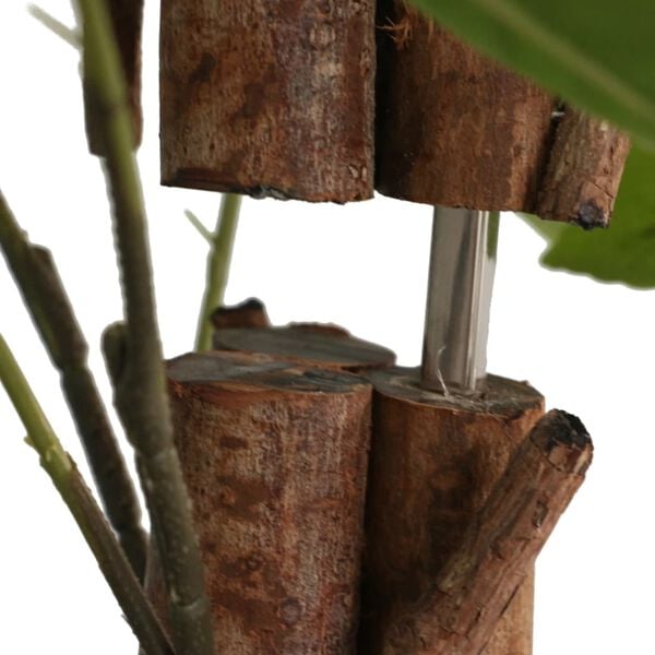 Показване снимка 2 от 5