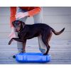 FitPAWS Платформа за баланс на кучета K9FITbone PVC синя FPK9BONEBL