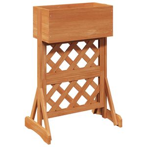 vidaXL Вертикална градинска решетката Оранжево 48 x 30 x 70,5 см