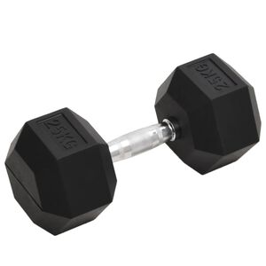 vidaXL Дъмбел, 25 кг, чугун