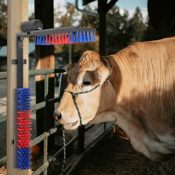 vidaXL Четки за говеда Регулирума Червен и син 84 x 10 x 91 см ПВЦ