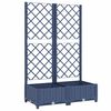 Blue_grey