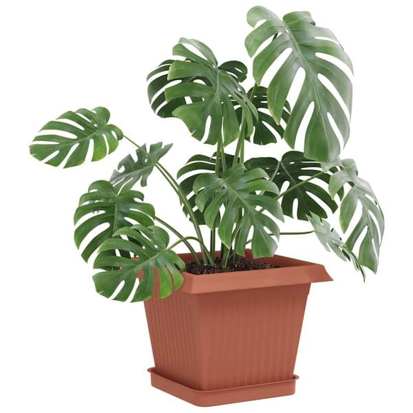 Показване снимка 3 от 10