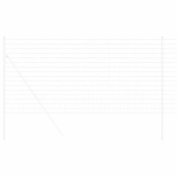 vidaXL Европейска ограда 1,2 x 10 m Желязо с PVC покритие