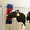 Изображение на продукта 5 от 8
