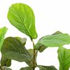 Изображение на продукта 4 от 5