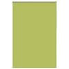 Leaves_green