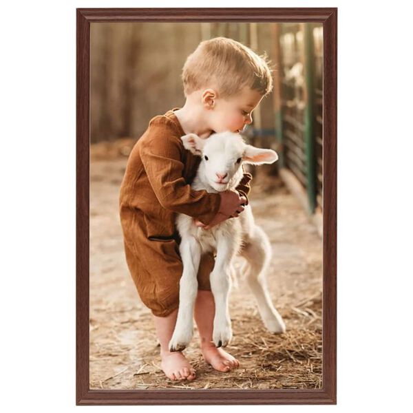 vidaXL Фоторамки за колаж, 5 бр, за маса, кафяви, 21x29,7 см, МДФ