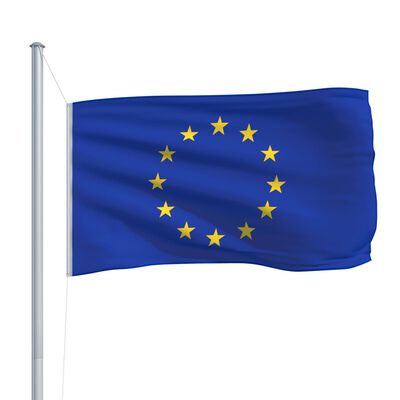 vidaXL Флаг на Европа, 90x150 см