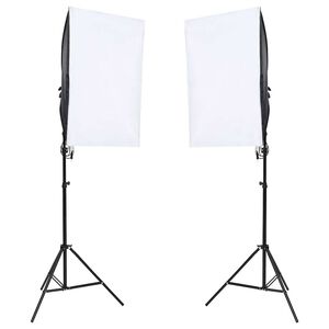 vidaXL Професионални студийни лампи, 2 бр, 40x60 см