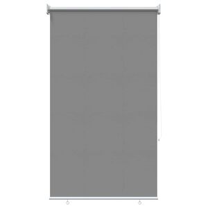 vidaXL Щора за открито с UV защита Светлосиво 100 x 230 см (Ш x В)