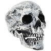 vidaXL Череп за Хелоуин SPOOKA 2 бр. Бяло 12 x 15 x 17,5 см Пластмаса