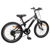 vidaXL Kids Mountain Bike 20 инча 6-Speed за 5-8 години Черно