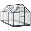 vidaXL Оранжерия за градина 183,5 x 423,5 x 207 см