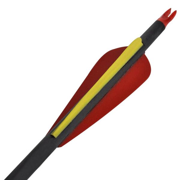 Стандартни стрели за лък 0,76 см карбонови 12 бр.