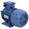 vidaXL Трифазен електромотор алуминий 4kW/5,5HP 2 полюса 2840 об/мин