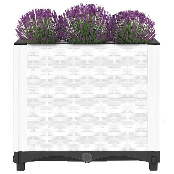 Показване снимка 3 от 8