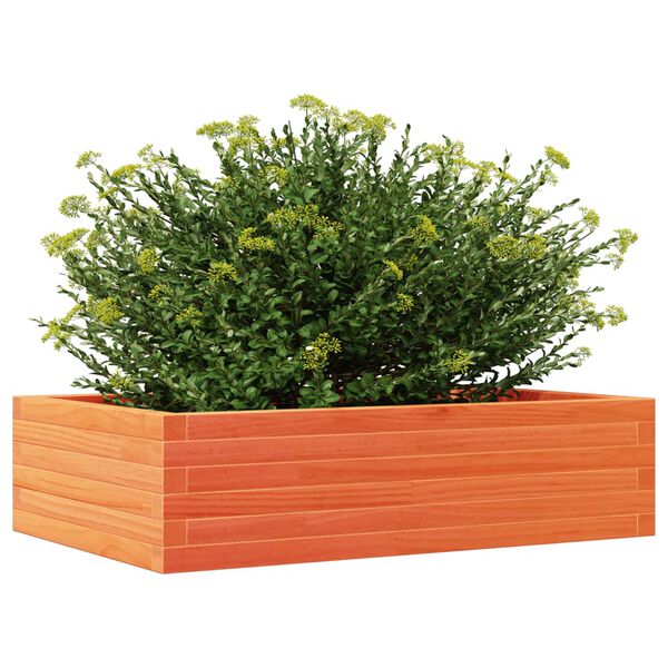Показване снимка 4 от 10