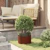 vidaXL Пръстен за саксия Кафяво 30 x 30 x 20 cm Патинираща стомана
