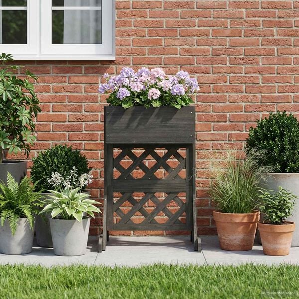 Показване снимка 4 от 10