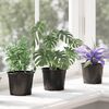 Изображение на продукта 5 от 11