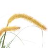 vidaXL Изкуствено растение декоративна трева, папур, 110 см