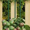 Изображение на продукта 2 от 5