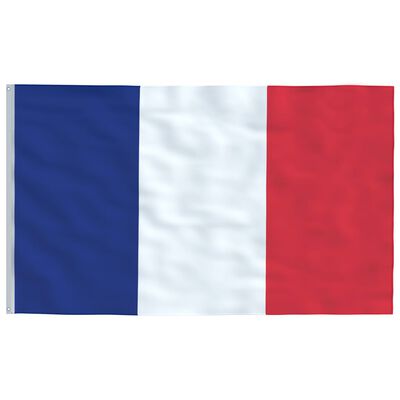 vidaXL Флаг на Франция и стълб 5,55 м алуминий