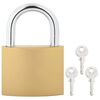 vidaXL U Lock с ключове Месинг 6 x 2 x 9,1 см Желязо