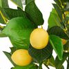 Изображение на продукта 3 от 5