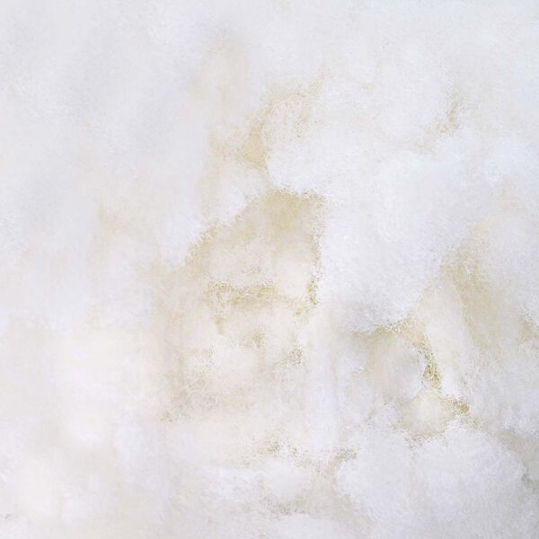 vidaXL Влакнест пълнеж Бял 5 kg Полиестер