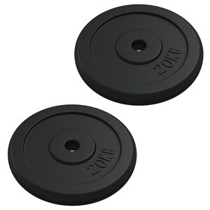 vidaXL Диск за тежести, 40 кг, чугун