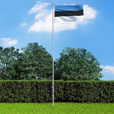 vidaXL Флаг на Естония и алуминиев флагщок, 6 м