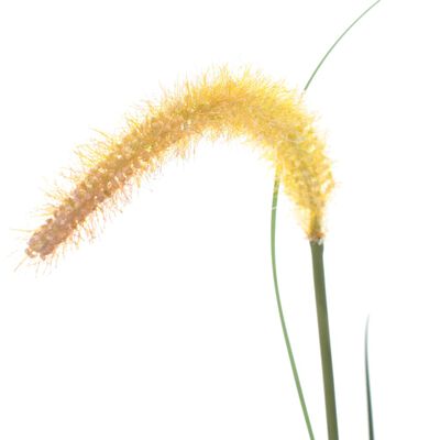 vidaXL Изкуствено растение декоративна трева, папур, 135 см
