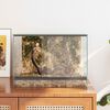 vidaXL Терариум със съхранение Прозрачен 40 x 30 x 30 см Стъкло