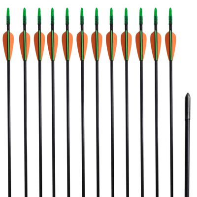 vidaXL Стандартни рекърв стрели за лък 30" 0,6 см фибростъкло 12 бр