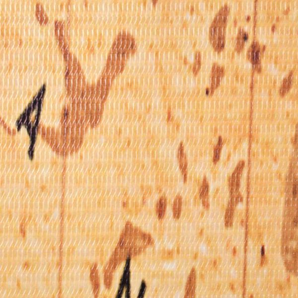 vidaXL Сгъваем параван за стая, 228x170 см, карта на света, жълт