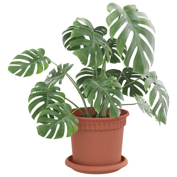 vidaXL Кръгъл поднос за цветя 24 pcs Червено тухла &Oslash; 14 x 2 см