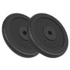 vidaXL Дискове за тежести, 2 бр, 2x20 кг, чугун