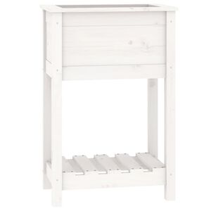 vidaXL Плантер с рафт, бяла, 54x34,5x81 см, борово дърво масив