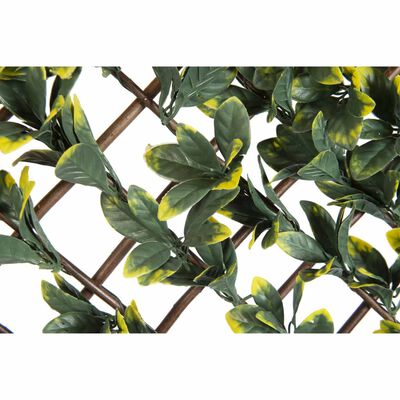 Nature Градинска решетка лигуструм 90x180 см зелено-жълти листа