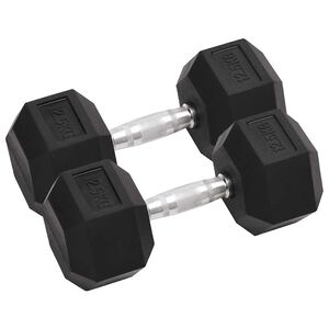 vidaXL Дъмбели, 2 бр, 12,5 кг, изцяло от чугун